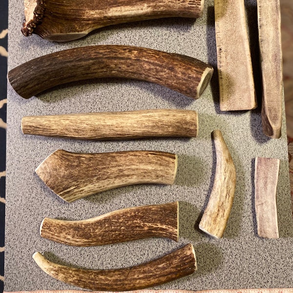 Premium Elk Antler Dog Chews