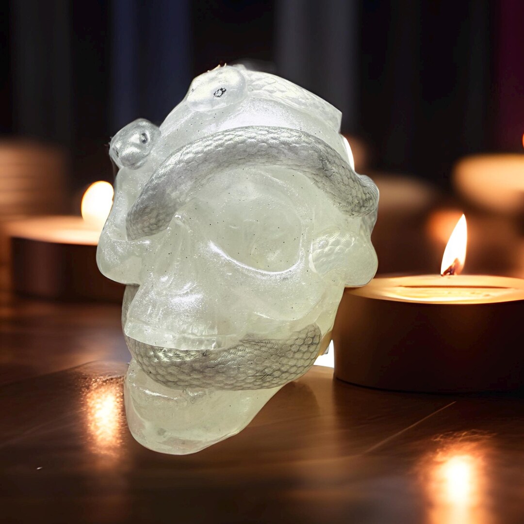 Double Snake Epoxy Resin Skull - Etsy