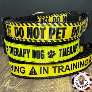 May include: Yellow and black dog collar with the text "Do Not Pet Do Not Pet" on the top band, "Therapy Dog" on the middle band, and "In Training" on the bottom band.