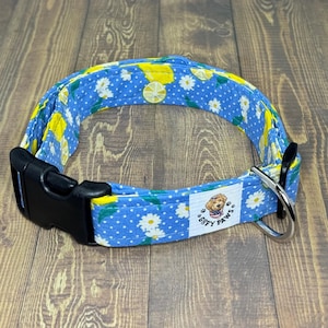 Dog Collar, Dog Collars, Collars, Collar, Summertime, Lemon, Lemons, When life gives you lemons, summer, spring, spring dog collar