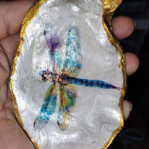 May include: A decorative oyster shell with a painted dragonfly design. The dragonfly features blue, purple, and yellow wings. The shell has a gold-painted edge and a pearlescent white interior.