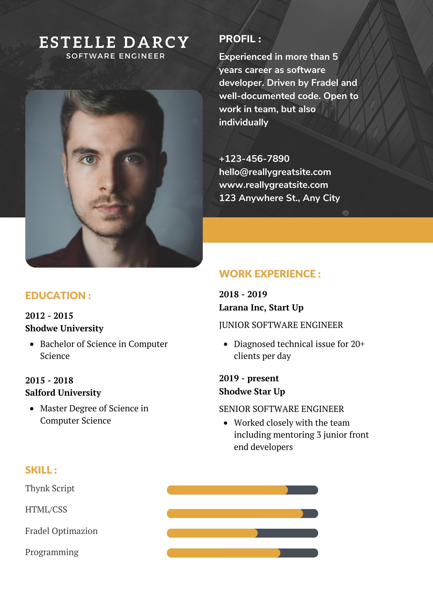 Canva template latest resume template 2023 etsy