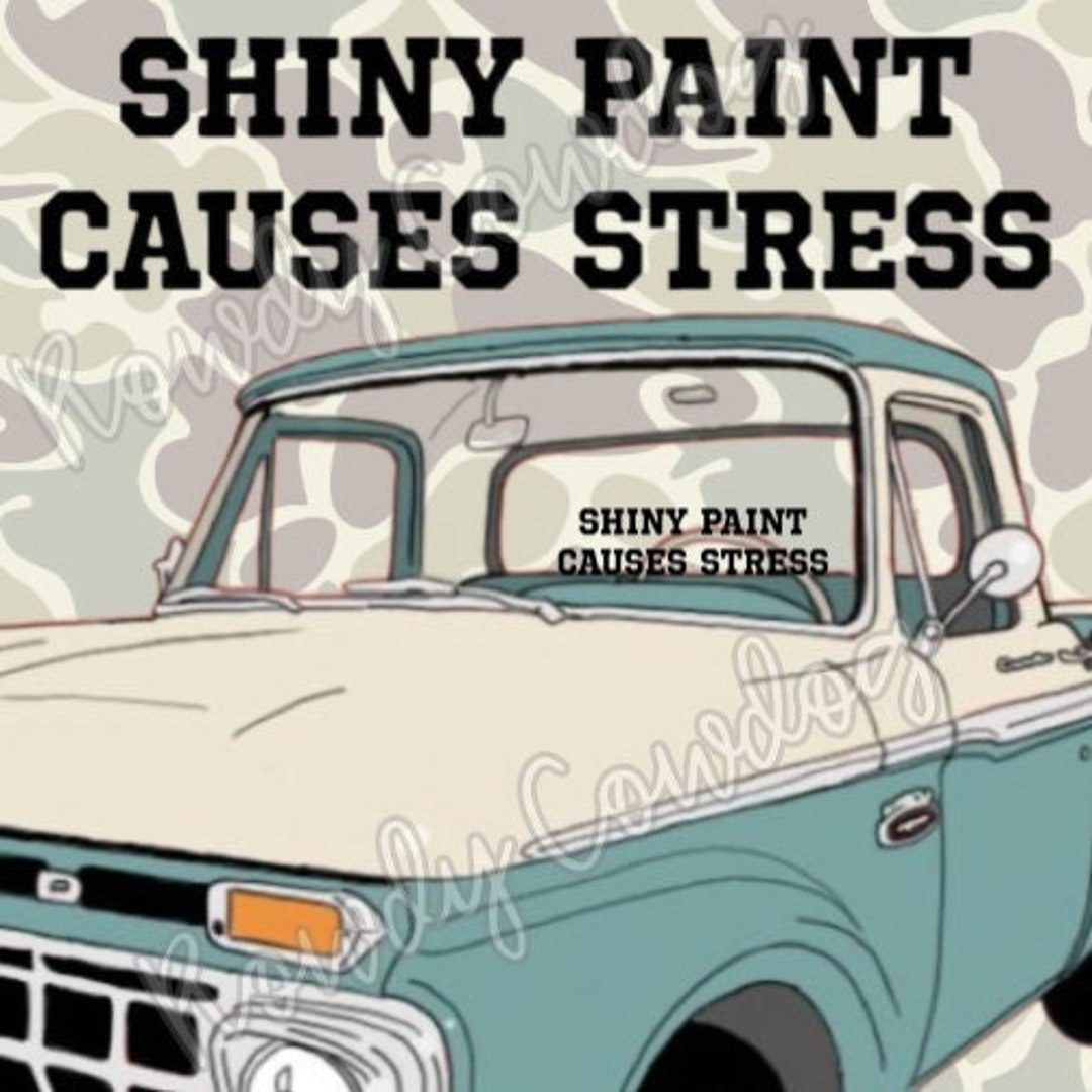Shiny Paint Causes Stress Premium Vinyl Decals Funny Etsy