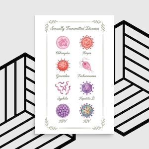 May include: A white poster featuring the title "Sexually Transmitted Diseases" and illustrations of various STIs, including Chlamydia, Herpes, Gonorrhoea, Trichomoniasis, Syphilis, Hepatitis B, HPV, and HIV. The poster has a decorative border.