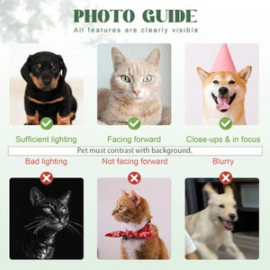 May include: A photo guide infographic featuring six pet portraits. The top row shows a black and tan puppy, a light brown cat, and a tan dog wearing a pink party hat. The bottom row displays a black cat, an orange cat with a red scarf, and a blurry dog.