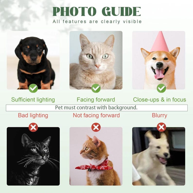 May include: A photo guide infographic featuring six pet portraits. The top row shows a black and tan puppy, a light brown cat, and a tan dog wearing a pink party hat. The bottom row displays a black cat, an orange cat with a red scarf, and a blurry dog.