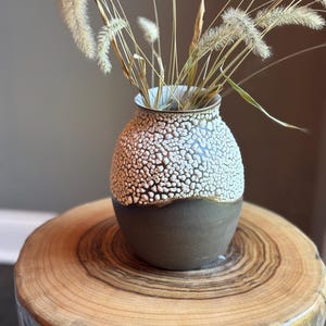 May include: A ceramic vase with a speckled white glaze and a dark brown glaze on the bottom. The vase is filled with dried pampas grass.