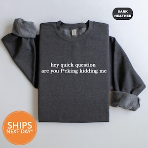 Hey Quick Question Are You Kidding Me Sweatshirt | Funny Humor Crewneck | Funny Girls Hoodie | Sarcastic Sweater | Trendy Shirt for Women