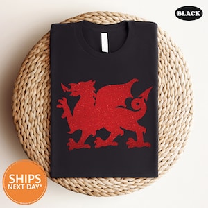 a black t - shirt with a red dragon on it
