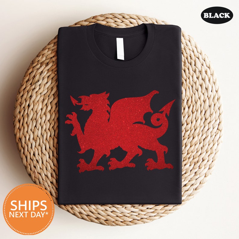 a black t - shirt with a red dragon on it