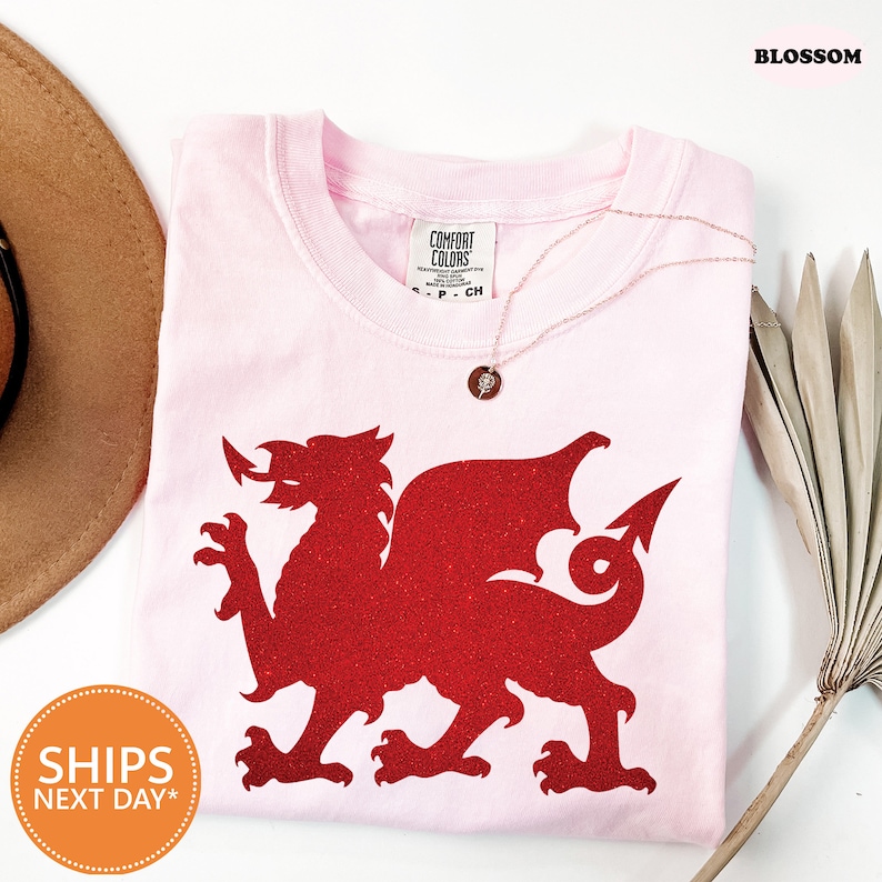 a pink shirt with a red dragon on it