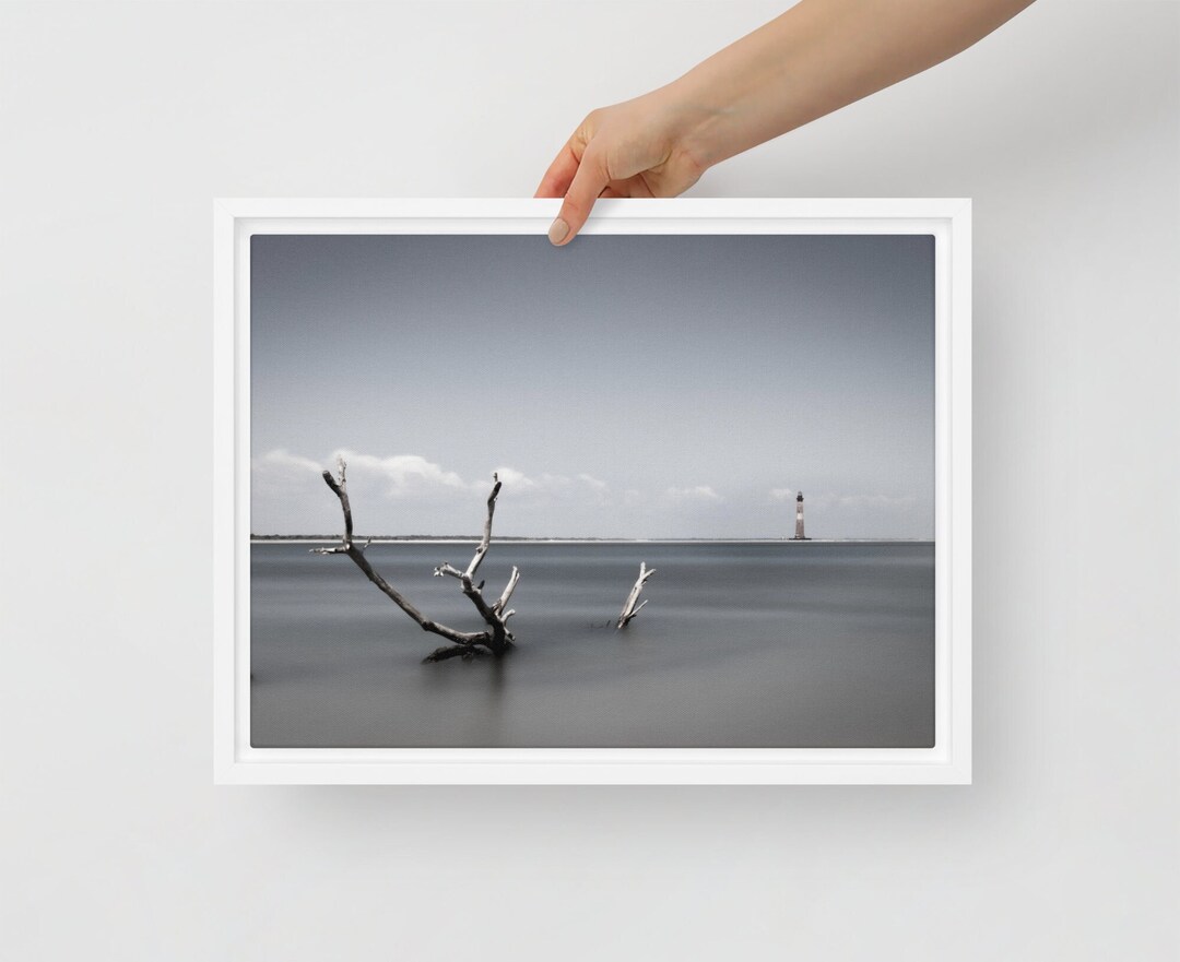 Driftwood on the Beach, Charleston Print, Charleston Black and White ...
