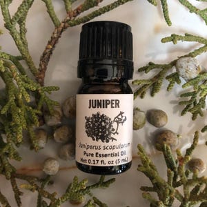 May include: A small brown glass bottle with a black cap, labeled "JUNIPER" and "Juniperus scopulorum Pure Essential Oil Net 0.17 fl. oz (5 ml)". The bottle is surrounded by green juniper branches and berries.