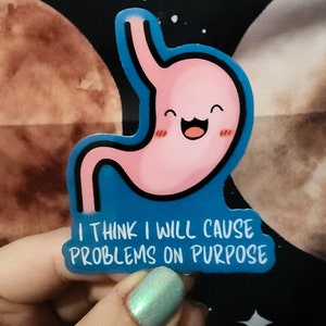 I Think I Will Cause Problems On Purpose  - Handmade Funny Sticker for Water Bottles, Laptops, Phones, Kindles, Collections