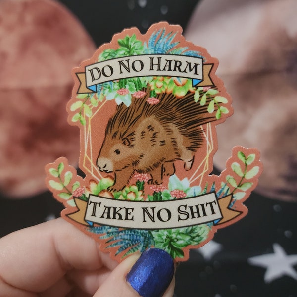 Do No Harm, Take No Shit - Sticker for Water Bottles, Notebooks, Planners, Collection
