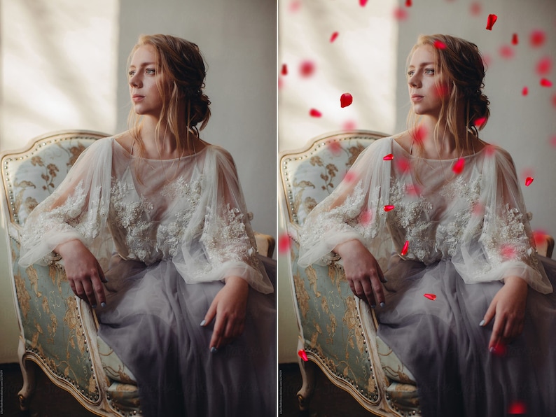 Red Rose Petals PNG Photoshop Overlays - Etsy