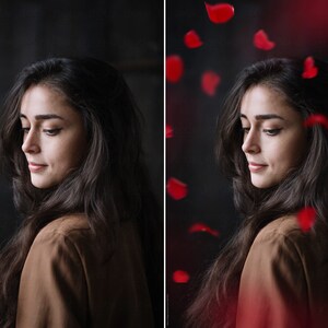 Red Rose Petals PNG Photoshop Overlays - Etsy