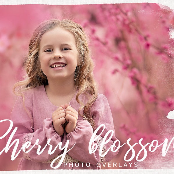 Cherry Blossom PNG photoshop overlays