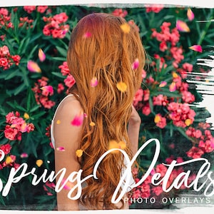 May include: A woman with long, red hair stands in front of a background of pink flowers and green leaves. The image is blurred and has a watercolor effect. The text "Spring Petals Photo Overlays" is written in white cursive at the bottom of the image.
