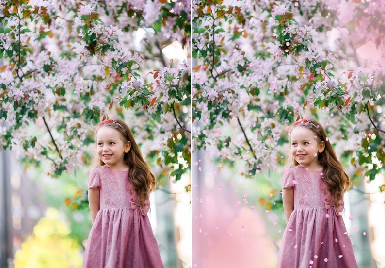 Pink and White Petals PNG photoshop overlays image 8