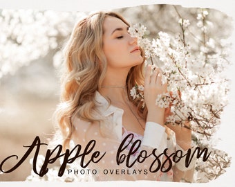 Apple Tree Blossom PNG photoshop overlays