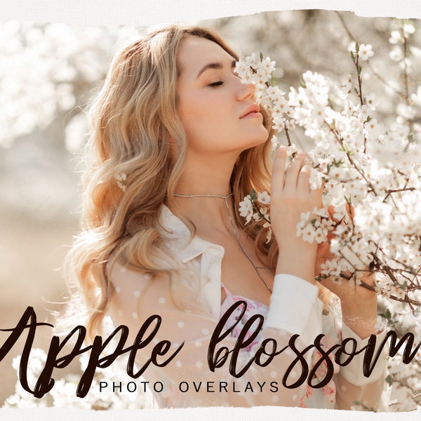 Apple Tree Blossom PNG photoshop overlays