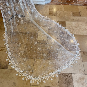 May include: A long, sheer white bridal veil featuring intricate silver embroidery of celestial motifs including stars, moons, and sunbursts. The edges are finished with a delicate white lace trim shaped like small stars. The text Thingsbox is visible.