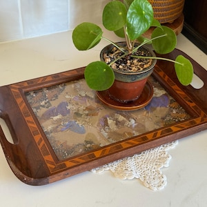 May include: A rectangular wooden serving tray with a decorative butterfly design under glass. The tray has a dark brown finish with inlaid wood trim and integrated handles. A small potted plant sits on the tray.