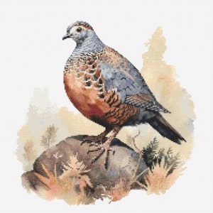 Button Quail Cross-Stitch Pattern Digital Download