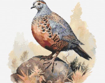 Button Quail Cross-Stitch Pattern Digital Download