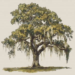 May include: A large, green oak tree with long, flowing Spanish moss hanging from its branches. The tree is set against a white background.