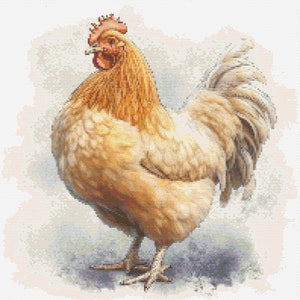 Puede incluir: Un gallo marrón claro con cresta y barbillas rojas se encuentra sobre un fondo gris claro. El gallo tiene una cola blanca y un cuerpo marrón claro.