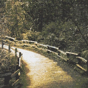 May include: A wooden bridge with a railing leads to a path through a forest. The path is lined with trees and bushes, and the sunlight shines through the leaves.