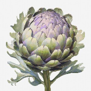 Artichoke 2 Cross-Stitch Pattern Digital Download