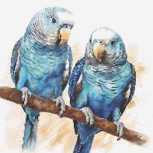 Blue Parakeets 2 Cross-Stitch Pattern Digital Download