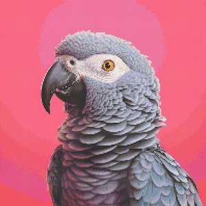 African Grey Parrot on Pink Background 3 Cross-Stitch Pattern Digital Download