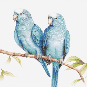 Blue Parakeets 3 Cross-Stitch Pattern Digital Download