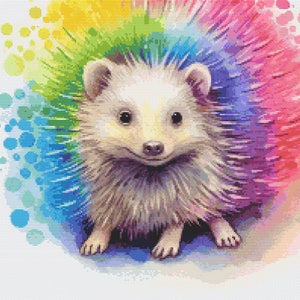 May include: A white hedgehog with a rainbow-colored spiky back. The hedgehog is standing on a white background with a watercolor-like rainbow design.