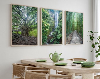 Maui Hawaii Set of 3 Prints: Tropical Wall Art, Bamboo Forest & Waterfall Photography