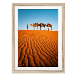 Sahara Desert Print, Morocco Wall Art, Camels on a Sand Dune Framed or Unframed Artwork, Fine Art Photography, Very Large Photo Gift