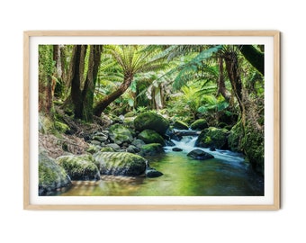 Forest Wall Art | River and Green Rainforest Tasmania Framed Photo | Fine Art Photography, Bedroom Wall Decor