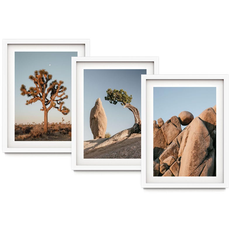 The image is a collage of three framed photographs depicting various desert landscapes, including a large tree, a rock formation, and a rocky outcropping.