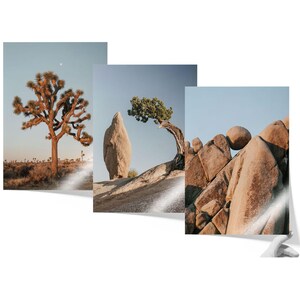 The image is a collage of three photographs depicting various desert landscapes, including a large tree, a rock formation, and a rocky outcropping.