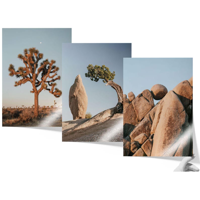 The image is a collage of three photographs depicting various desert landscapes, including a large tree, a rock formation, and a rocky outcropping.