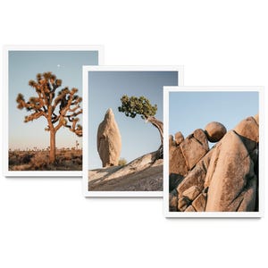 The image is a collage of three photographs depicting various desert landscapes, including a large tree, a rock formation, and a rocky outcropping.
