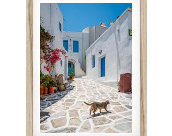 Greece Wall Art: Street Cat Photography Print, White Coastal Decor