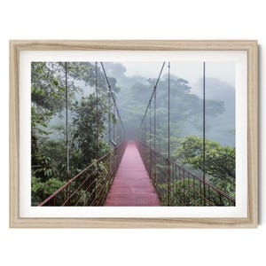 Forest Wall Art Nature Print, Costa Rica Rainforest Photography, Monteverde Cloud Forest Bridge Fine Art Print