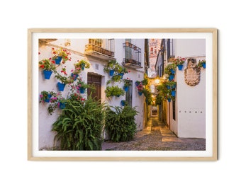 Spanish Wall Art, Cordoba Spain Photo, Floral Alley Print, Andalusia Framed Wall Art, Fine Art Photography, Unique Photo Gift for Her