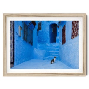 Fine Art Morocco Print, Chefchaouen Blue City Photograph, Cat Photography, Moroccan Wall Art, Blue Wall Decor, Extra Large Gift for Her