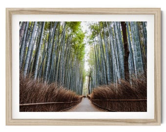 Japanese Wall Art, Japandi Wall Art, Bamboo Forest Print, Zen Wall Art, Kyoto Photography, Framed Nature Print